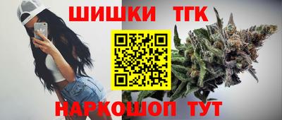 соль ск Гатчина