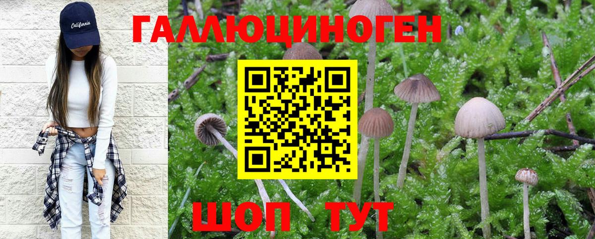 Псилоцибиновые грибы мухоморы  Галлюциногенные грибы Magic Shrooms  Вход с VPN  Сегежа 